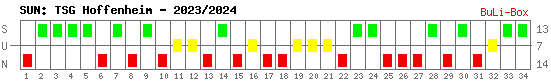 Siege, Unentschieden und Niederlagen: TSG 1899 Hoffenheim 2023/2024